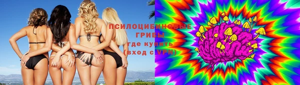 марки lsd Белокуриха