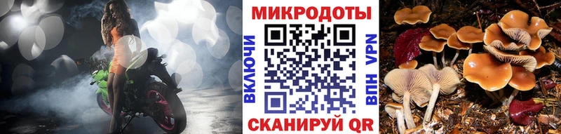 Галлюциногенные грибы прущие грибы  Окуловка 